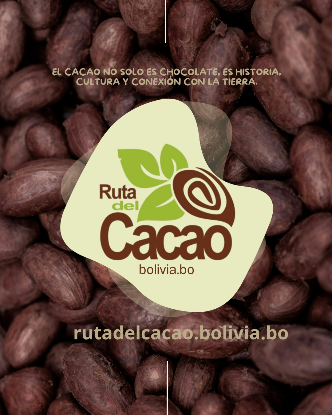 ruta del cacao (1)